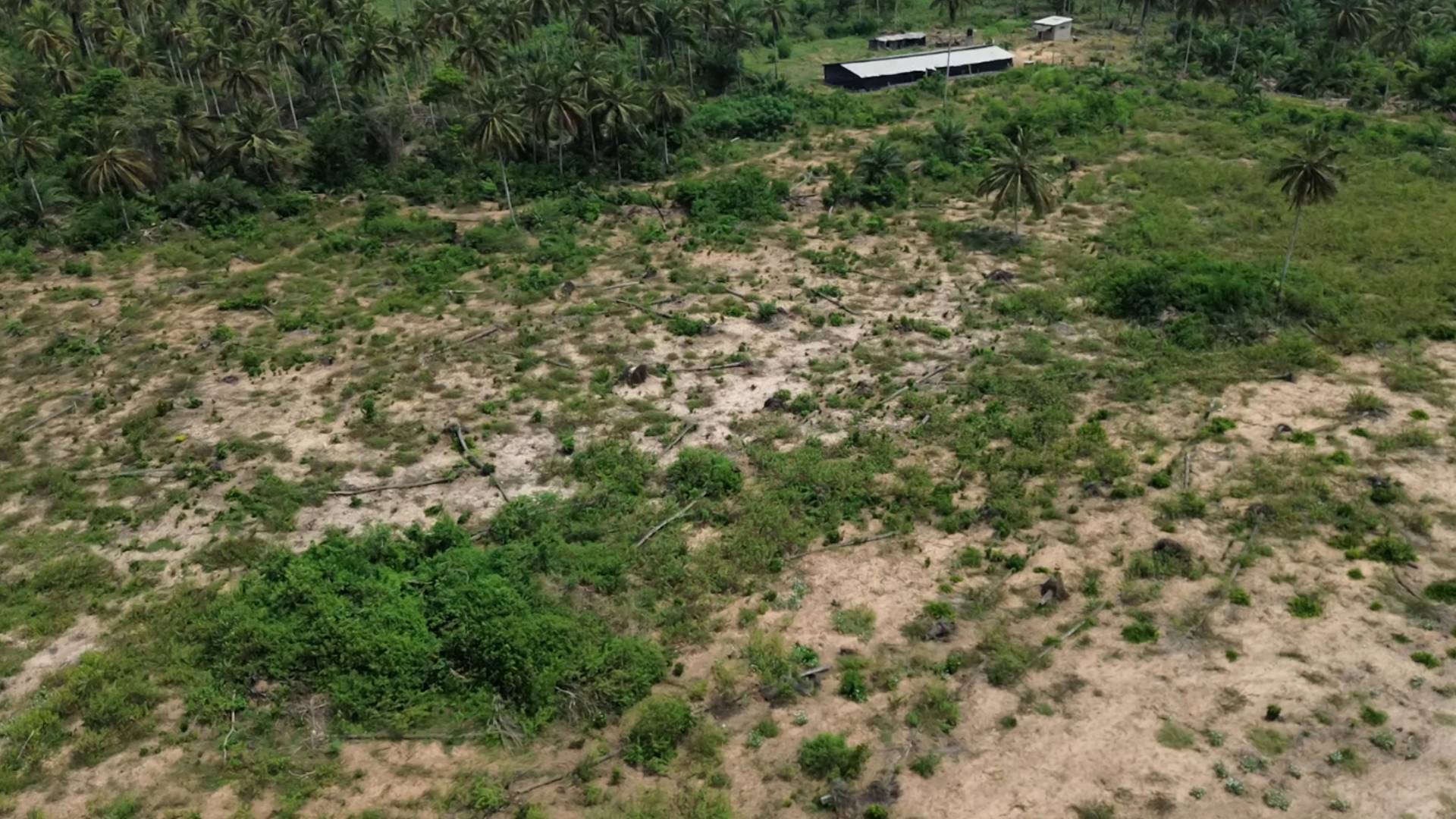 Terrain de 5 hectares à vendre à Jacqueville