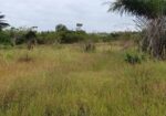 Terrain de 500 m² à vendre à Jacqueville