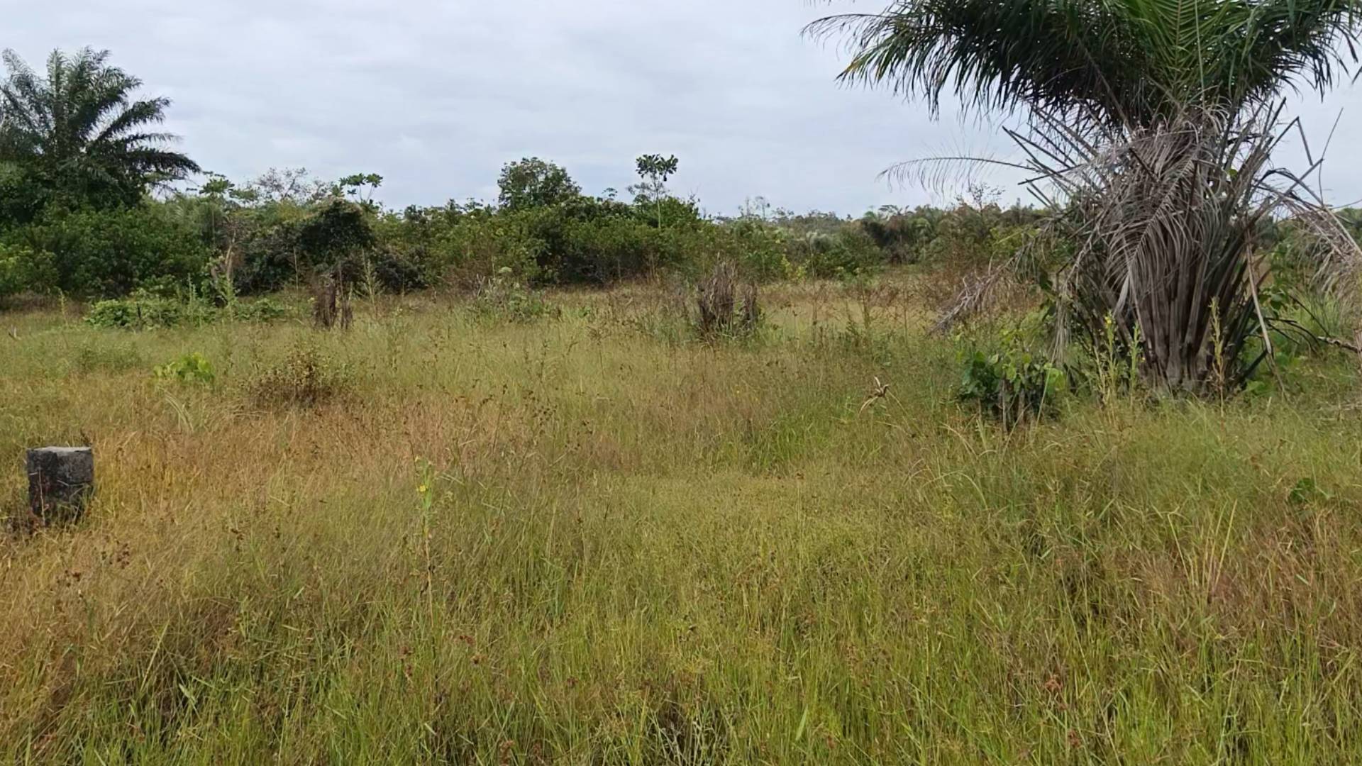 Terrain de 500 m² à vendre à Jacqueville